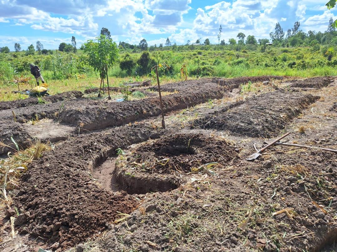 Rangeland Restoration